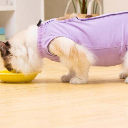 Cat Recovery Suit Cat Onesie for Female Male Cats