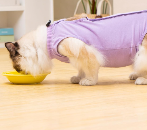 Cat Recovery Suit Cat Onesie for Female Male Cats