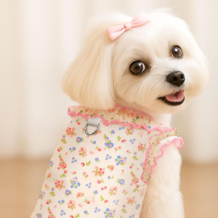 2 Pack Dog Shirt for Small Dogs Breathable Summer Clothes with Ruffled Sleeves