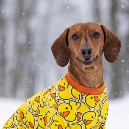 Funny Duck Dog Pajamas Dog Winter Clothes for Small Dogs Lightweight Velvet Pet Jumpsuit