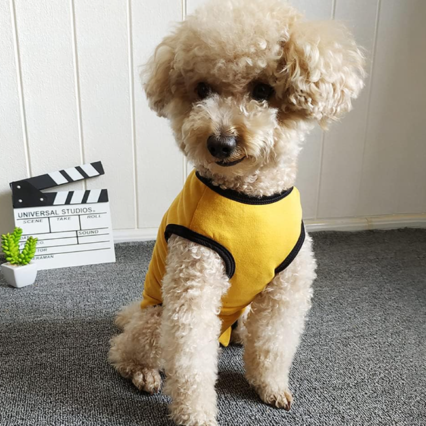 Dog Recovery Suit Post Surgery Shirt Protective Clothes for Small Animals