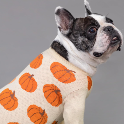 Pumpkin Dog Sweater Thanksgiving Outfit for Small Dogs Pet Outfit