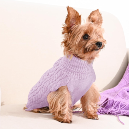 Dog Sweater 2 Pack for Small Dogs