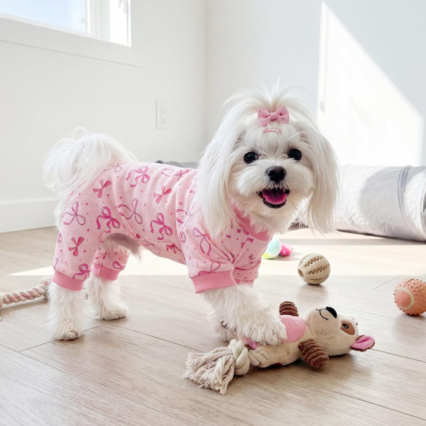 Dog Pajamas for Small Medium Dogs Pink Bow Onesie Breathable Soft Sleepwear