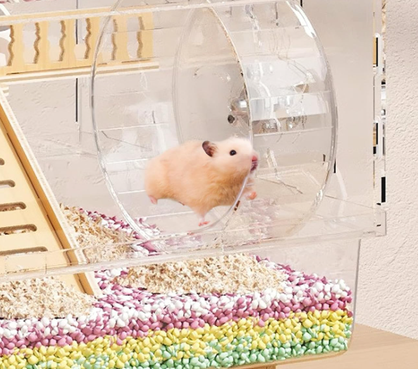 8-in-1 Acrylic Hamster Cage with Accessories 2-Layer Hamster House with Full Transparent Viewing Top-Open Mouse Cage Hamster Habitat for Dwarf Hamsters and Gerbils - Image 2