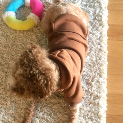 Soft Dog Hoodies for Small Dogs Warm Fleece Puppy Clothes with Pocket