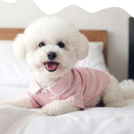 Dog Silk Pajamas Shirt Puppy Satin Sleepwear for Small Dogs